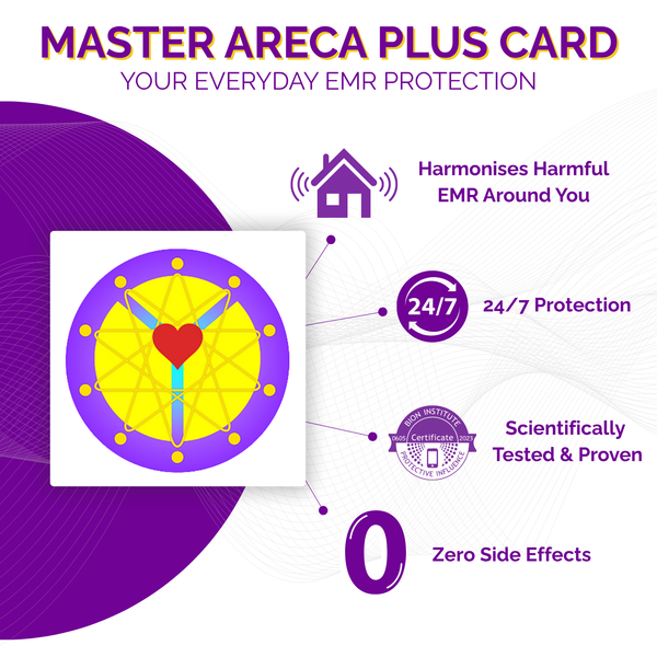 Infographic for Master Areca Plus Card with purple and yellow design on a white background
